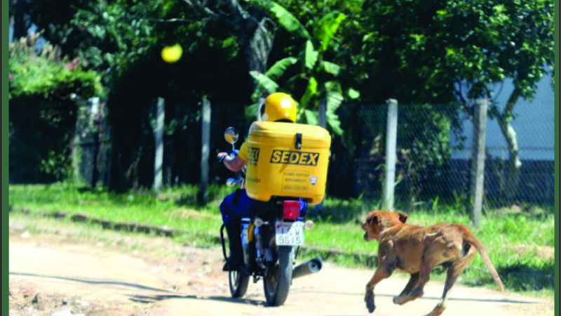 Trabalhadores de Correios realizam ato contra ataques de cachorros em frente a Prefeitura de Viamão